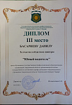 Юный водитель_БасариевД